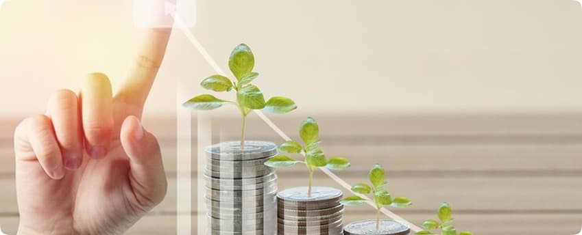 The Importance of Investing in Small & Micro Cap Sectors